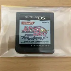 【新着】任天堂 Nintendo DS ハヤテのごとく! お嬢様プロデュース..