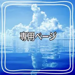 ☆ちゃまめ様　専用ページ☆3XS