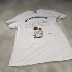 VINTAGE HAWAII Murina USA製 Tシャツ L - メルカリ