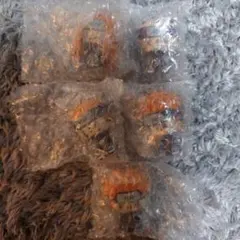 ナルト 一番くじ G賞 ちょこのっこ 5体