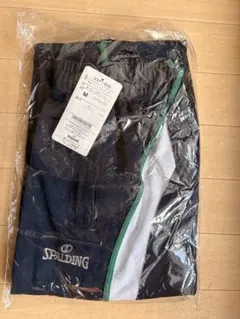 Item thumbnail for item 923220b9-8148-4cfd-963c-3c02173b80c0