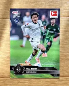 Item thumbnail for item fcac255c-4383-4399-a742-052fdfcb7b45