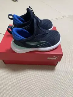 Item thumbnail for item 2d2c031f-09ac-4e73-83fd-9c60bc87acd6