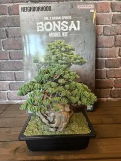 2025年最新】neighborhood 盆栽の人気アイテム - メルカリ