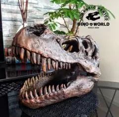 ✨大迫力✨ ティラノサウルス 恐竜の化石 頭骨 インテリア ジュラシックワールド DINOWORLD】ティラノサウルス 頭骨 化石 ジュラシックパーク - メルカリ