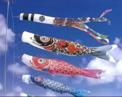 訳あり】ゴールデンフジサワ鯉 6Mセット 吹流し・鯉のぼり4点のみ当時