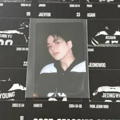 treasure ジェヒョク シーグリ 2025 トレカ