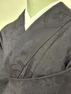 美品 紗紬 蔦 夏着物 仕付け糸付 トール”蔦の静かな力強さ”絹芭蕉 美品 紗紬 蔦 夏着物 仕付け糸付 トール”蔦の静かな力強さ”絹芭蕉