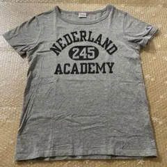 【Champion 】100%コットン　Tシャツ Mサイズ