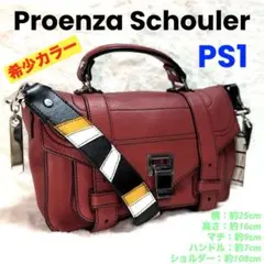【✨希少✨】プロエンザスクーラー　ショルダーバッグ　ハンドバッグ　バッグ　PS1