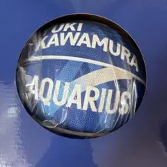 KAWAMURA バスケットボール サイン入り