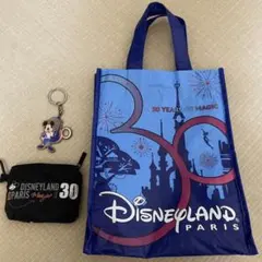 パリ　ディズニーランド　３０周記念　バッグ　ポーチ　キーホルダー 3点セット