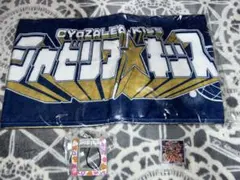 Item thumbnail for item c0fe7aa8-dd1c-467f-909d-835ca99c2ba8