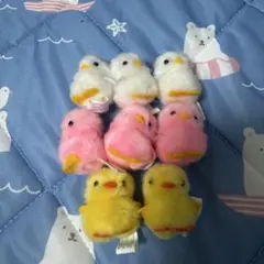 ぴよりーな　ぴより〜な　ノーマル8個