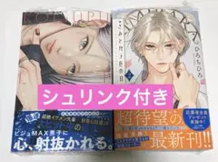 未開封 きみとバラ色の日々 2巻 恋するリップティント 3巻 マーガレット