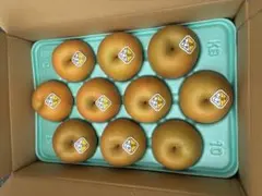 千葉梨豊水1箱5k大3箱まとめてお買得 - メルカリ