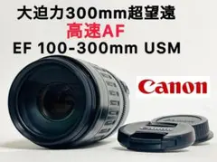 【美品】Canon EF 100-300mm 4.5-5.6 USM キヤノン
