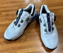 ミズノWAVE HAZARD SL BOA スパイクレスゴルフシューズ24.5のサムネイル