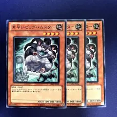 2026年最新】素早いビッグハムスターの人気アイテム - メルカリ