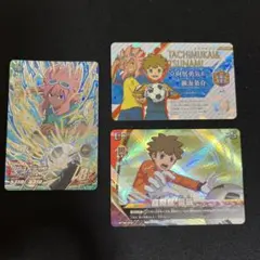 イナズマイレブン　立向居勇気、綱海条介ライセンスカード3枚セット 2025年最新】イナイレ ライセンス 立向居 綱海の人気アイテム