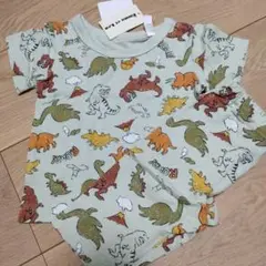 恐竜　セットアップ　80