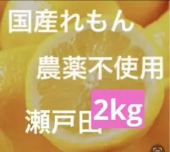 35.国産瀬戸田レモン2kgのサムネイル