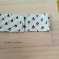 アーツアンドサイエンス