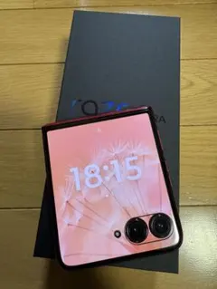 Item thumbnail for item a94c5f30-1f27-42a3-a67d-d569cef87f1d