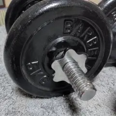 引取限定】BODYMAKER 固定式ダンベル 15kg×2個 （希少） - メルカリ