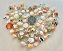 Item thumbnail for item fa78c0c8-cffc-464a-8f34-410cee376062