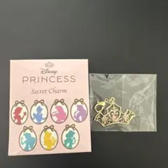 ディズニープリンセス シークレットチャーム ティアラ　オーロラ姫