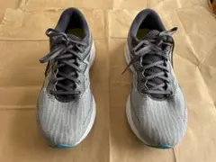 Mizuno Wave Rider 27 28cm