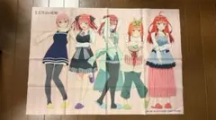 映画 五等分の花嫁 アニメイト特典 B2布ポスター 五つ子 集合 エプロン