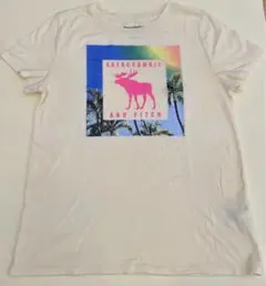 セール‼️Abercrombie & Fitch kids Tシャツ