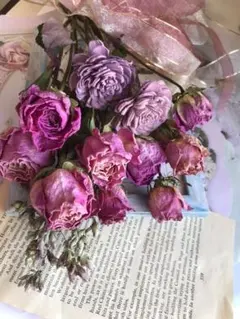 tmoyoo様専用  272 アンティークローズセット 10本組