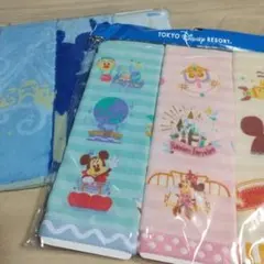 東京ディズニーリゾート ミニタオル2セット❶