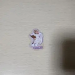 &TEAM 2026 Seasons Greetings NICHOLAS