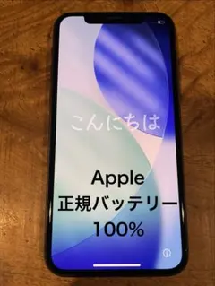Apple iPhone 11 Pro 256GB 本体