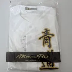 ダイヤのA 青道高校 ユニフォーム Sサイズ MIZUNO 沢村栄純 御幸一也