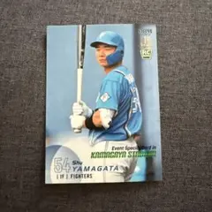 Item thumbnail for item 423caff5-a6f3-4209-8c99-44abc4ec0775