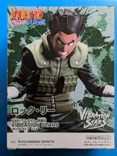 NARUTO疾風伝 ロック・リー
