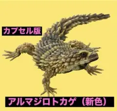 いきもの大図鑑アドバンス アルマジロトカゲ（新色）　単品　カプセル版のサムネイル