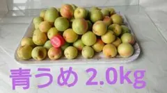 青うめ 新潟県産のサムネイル