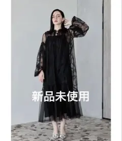 niana リボンエンブロイダリーレイヤードドレス Mshort