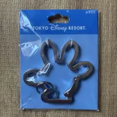東京ディズニーリゾート☆カラビナ&キーチェーン