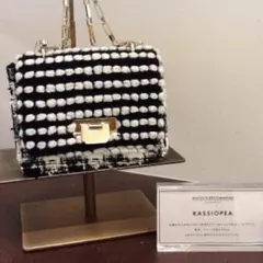 カシオペア ツイードバック チェーンバックケイトスペード ユナイテッドアローズ