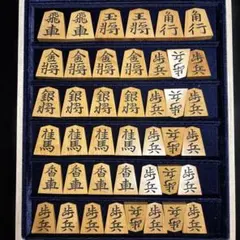 ●駒木地●島黄楊／斑入り柾-1-3-8●未使用● 島黄楊柾目駒木地４３枚セット : ショップ・ナユタ - 通販 - Yahoo