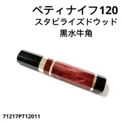 Item thumbnail for item 4e121bd5-017c-4b49-be4d-14212d897efa