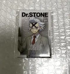 Dr.STONE くじ引き堂 読書の秋編 D賞長方形缶バッジ