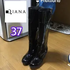 Item thumbnail for item 72e8ced9-5c9b-4915-86bf-fcfa9665a5e9